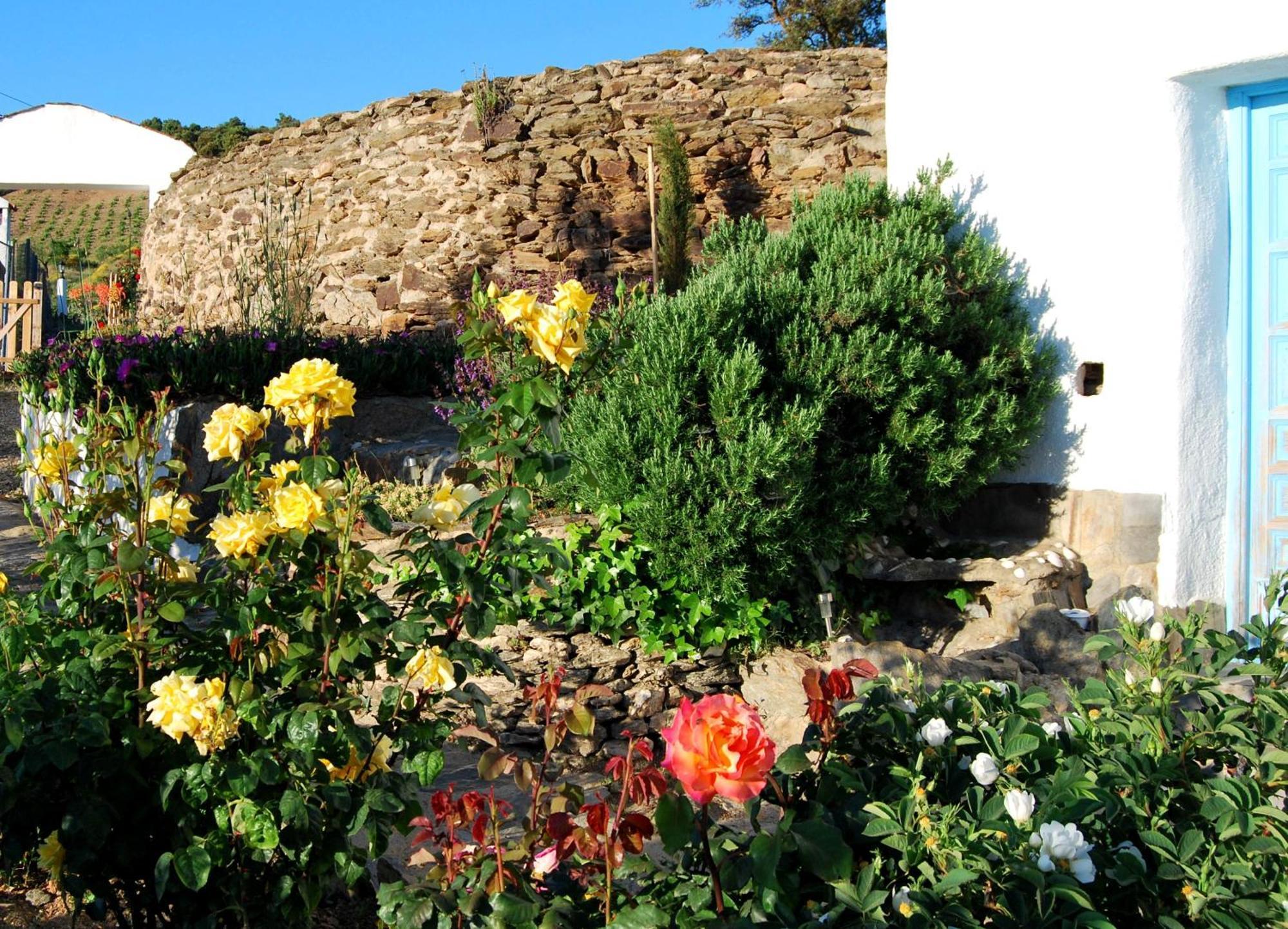 Cortijo Los Maximos Turon Exterior photo